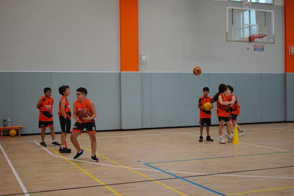 Star Basketball Academy — Basketball in Sharjah