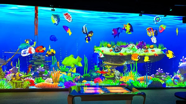 FunBox - Indoor Games & Birthday Party Places for Kids in Sharjah — Cafés with Play Areas in Sharjah