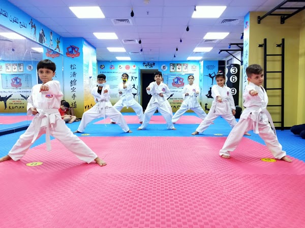 Al Khaleej Martial Arts LLC — Martial Arts in Ajman